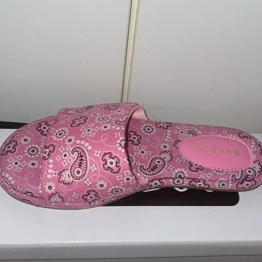 Pink slides - Picture 2 of 2